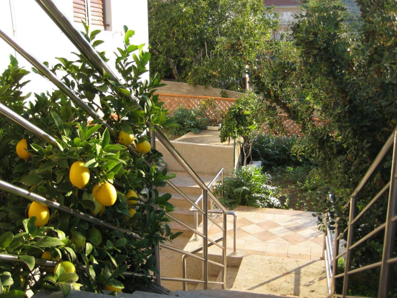 Apartment Martina *